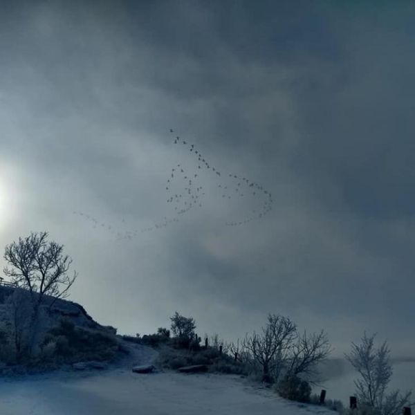north sterling winter