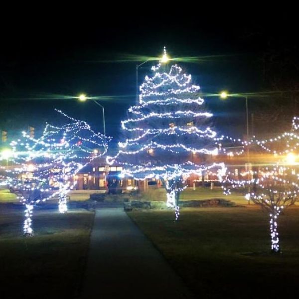 courthouse 3 lighted trees